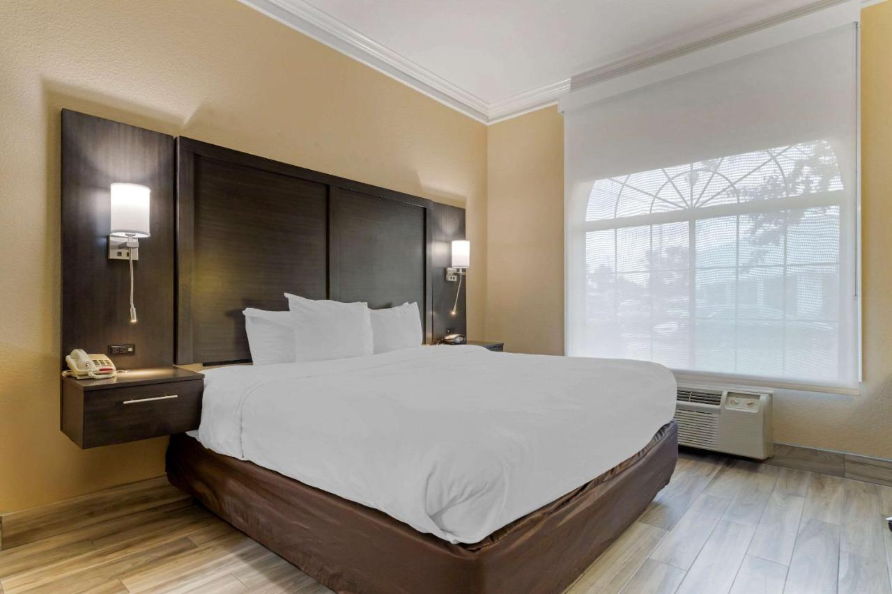 Comfort Suites Kingwood Houston North Humble 59 Екстер'єр фото